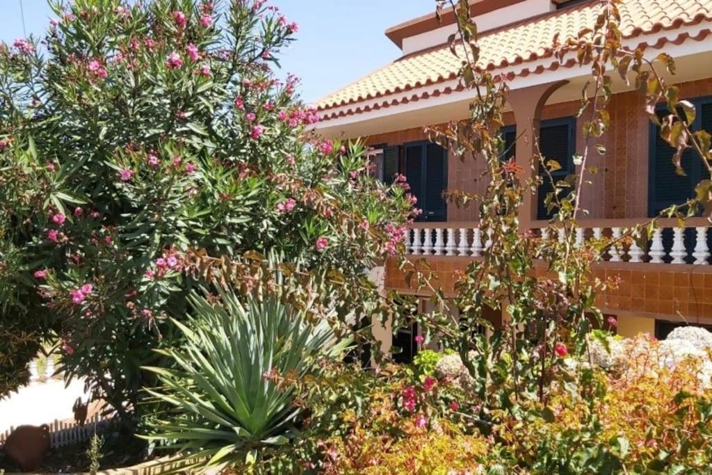 بونتا دو بارغو Casa Ribeirinho No Coracao Da Natureza المظهر الخارجي الصورة