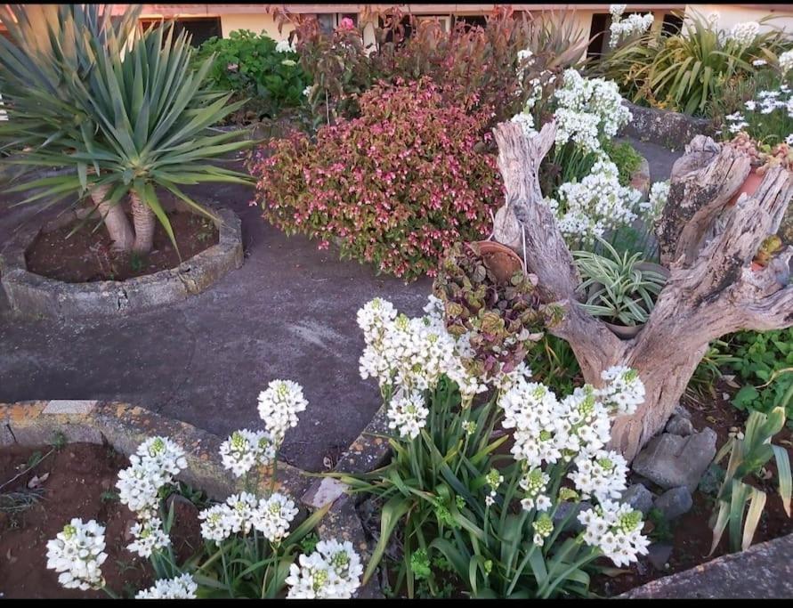 بونتا دو بارغو Casa Ribeirinho No Coracao Da Natureza المظهر الخارجي الصورة